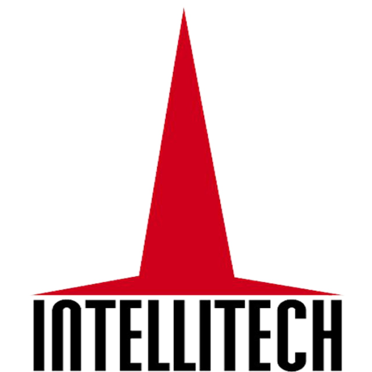 INTELLITECH LTD
